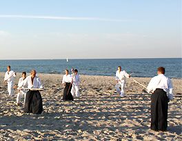 Aikido Sportverein TSV