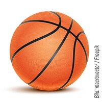 Basketball - TSV Lütjenburg